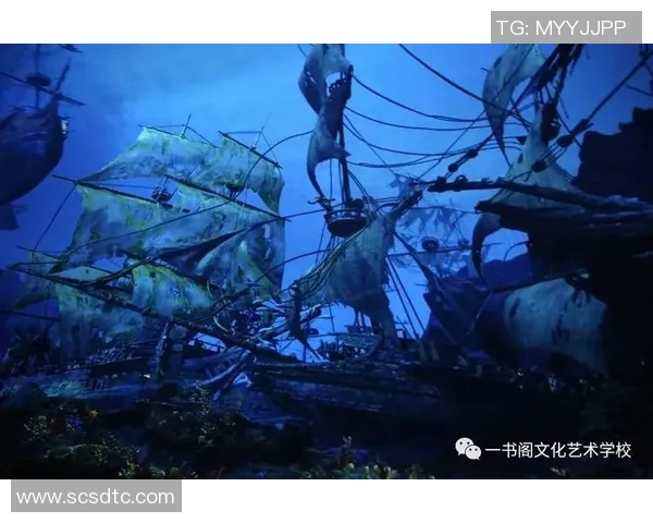 布鲁查加的传奇旅程与足球世界的辉煌成就探秘